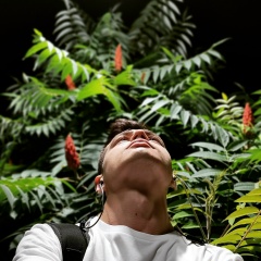 Дмитрий Хоружий