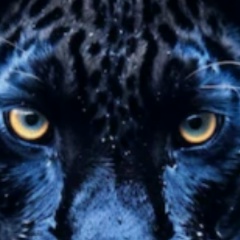 Наталья Карева, 01.08.1987, Самара