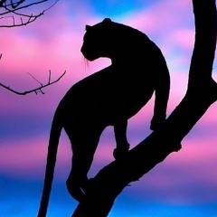 Марина Зудилкина, 06.09, Новый Уренгой