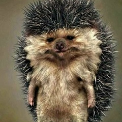 Константин Федин, Пермь