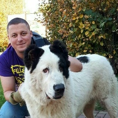 Антон Вінницький, Тернополь