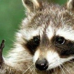 Анечка Потёмичева, 31.07.1990, Москва