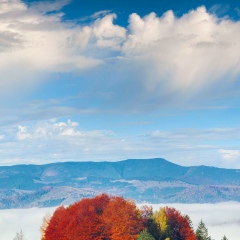 Анастасия Настена, 30.12, Алматы