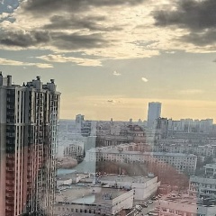 Филипп Палий, 01.12, Санкт-Петербург