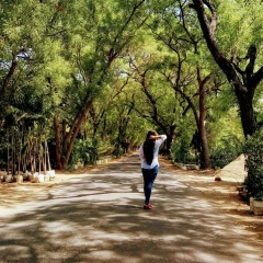 Tawwin Pann, 18.12, Thandwe