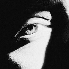 Вениамин Кащеев, 20.06.1987, Лисаковск