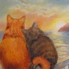 Игорь Соколов, 29.01.1985, Санкт-Петербург