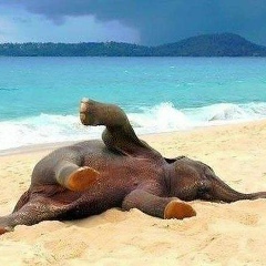 Даша Венгренюк, 20.04.1988, Чебоксары