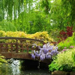 Юлия Газетдинова, 14.06