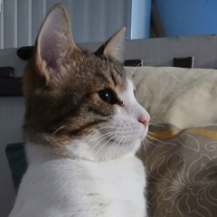 Юрий Епифанов, 15.08.1987