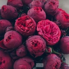Анар Сейтбаева, 29.04, Астана