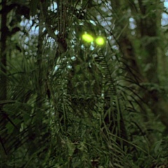 Айрат Валеев, 10.04.1984, Казань