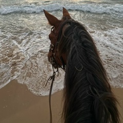 Gitinov M, 11.05.1996, Махачкала