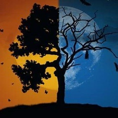 Алексей Никуленко, 31.10.1987, Москва