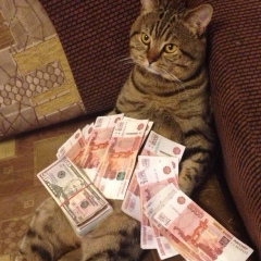 Максим Герасимов, 27.01.1983, Санкт-Петербург