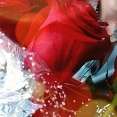 Надежда Елманова, Сургут