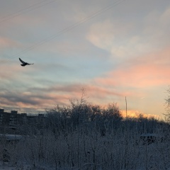 Наталья Парфацкая-Азизова, Мурманск