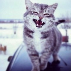 Азрет Карданов, 29.06.1990, Москва