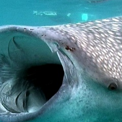 Олег Пересада, 05.07, Самара