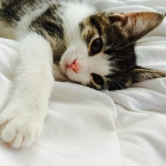 Инесса Ким, 23.07, Thessaloniki