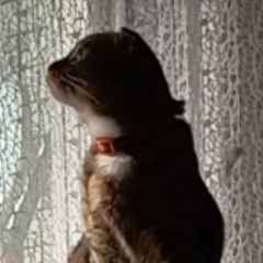 Ирина Кривенцева, 29.07, Москва