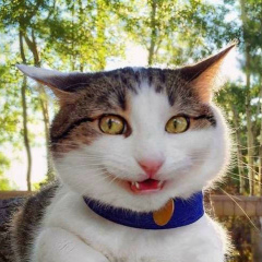 Александр Баханович, 17.08, Москва