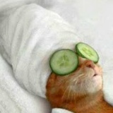 Татьяна Воронцова, 18.06.1978, Харьков