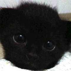 Артём Коновалов, 23.07.1985, Нарва