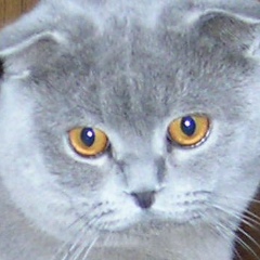 Анастасия Поволжская, 30.04.1977, Москва