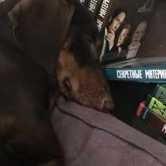 Дмитрий Ткачук, 28.09.1988, Турки