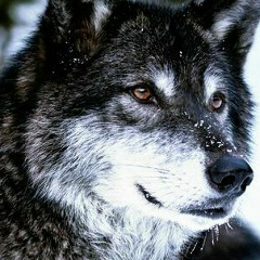 Нурлан Омаргалиев, 15.07.1993, Атырау