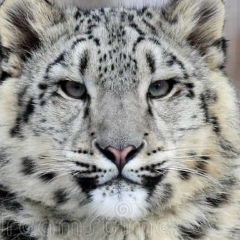 Тота Кусаинова, 24.01.1995, Уральск