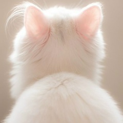 Катюша Пасхина, 10.07.1989