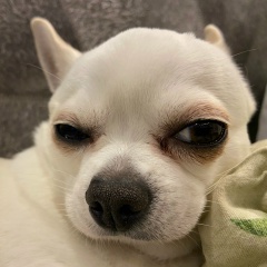 Anton Anton, 02.02, Великий Новгород