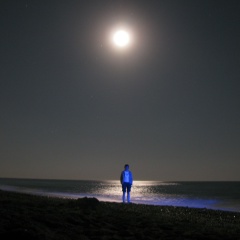 Ольга Вибе, Санкт-Петербург