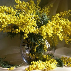 Марья Хитклифф, 21.04, Albuquerque