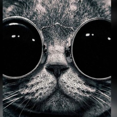 Виталий Георгиади, 28.08.1993, Санкт-Петербург