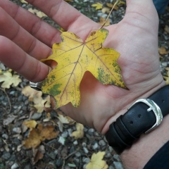 Сайд-Мохьмад Абдулазизов, 16.07, Грозный