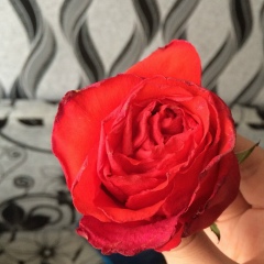 Гульзат Туретаева, 15.05.1995, Актобе