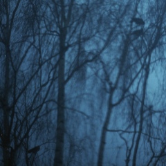 Оксана Трегубова, 03.07