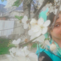 Хеда Шахвалова, 27.03