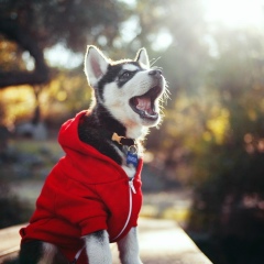 Александр Кот, 10.05, Владивосток