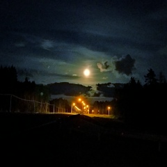 Александр Алехин, Санкт-Петербург