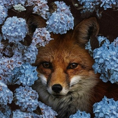 Олеся Торбина, 29.01.1985, Саров