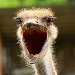 Сергей Усов, Тихорецк