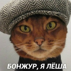 Алексей Ворончихин, 25.03.1984, Санкт-Петербург