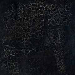 Софья Шaтохина, Санкт-Петербург