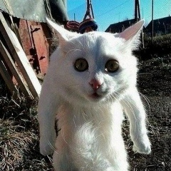 Ігор Черновський, 28.05, Тернополь