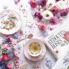 Дагмара Хайдарова, 12.09.1992, New York City