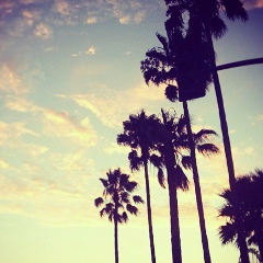 Тимур Онегин, 16.08.1987, Москва